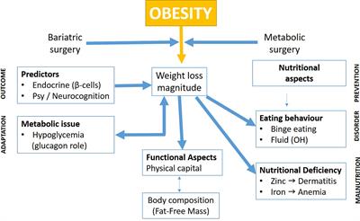 Editorial: Beyond Bariatric Surgery: Expected and Unexpected Long-Term Evolution